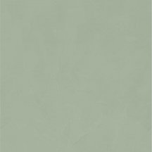 Cedit Policroma Lichene Opaco Ret 120x120