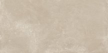 Century Blend Concept 30x60