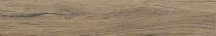 Century Jasper Peak Rettificato 20x120