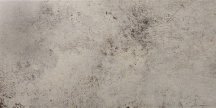 Ceracasa Evolution Gris 49.1x98.2