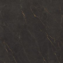 Cerdomus Galaxia Black Levigato 120x120
