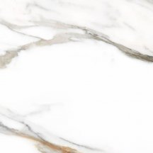 Colorker Calacatta Gold White Mate 59.5x59.5