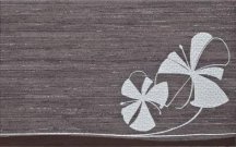 Colorker Touch Balance Wengue 25x40