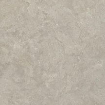 Creto Shell Bg 60x60