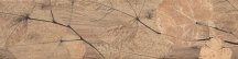 Del Conca Foreste D Italia Foliage Noce 20x80