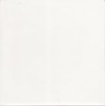 Diffusion Cement Tiles Blanc A9 20x20