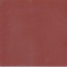 Diffusion Cement Tiles Rouge E4 20x20