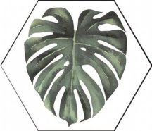 Diffusion Hexagon Orientation Jungle 22x25