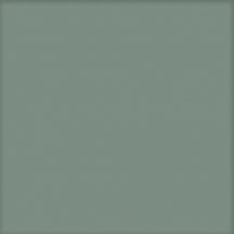 Diffusion Porcelain Unis Base Kale 25x25