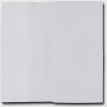 Diffusion Terracim Blanc 15x15