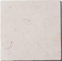 Diffusion Travertin Carreaux Limestone 10x10
