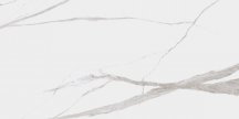 Dogma Project Antibacterial Calacatta Levigato 60x120