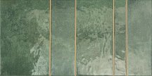 Dual Gres NiceKer Kian Green 30x60