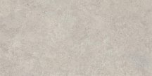 Emil Ceramica Landscape Cenere Silktech 30x60
