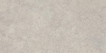 Emil Ceramica Landscape Cenere Silktech 40x80