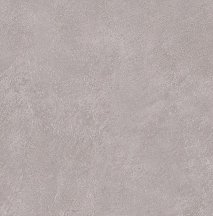 Emil Ceramica Sixty Cenere Silktech 60x60