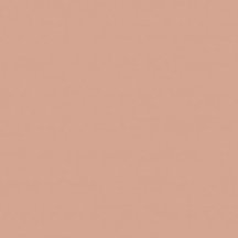 Equipe Bauhome Rose 20x20
