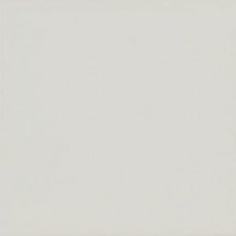 Equipe Evolution Gris Claro Brillo 15x15
