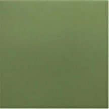 Equipe Rivoli Green 20x20