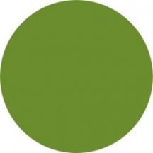 Equipe Sfera Verde-2 43x43
