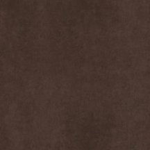 Estima Cave CA03 60x60