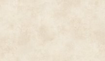Eternal Porcelain Eva Crema 60x120