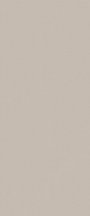 Fap True Color Fossil 50x120