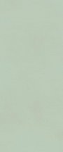 Fap True Color Matcha 50x120