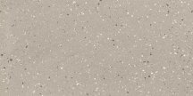 Floor Gres Earthtech Desert Flakes Glossy-Bright 120x240