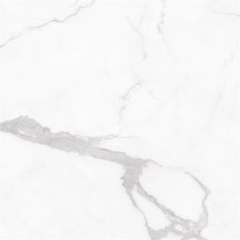 Florina Ceramics Marmogres Statuario Top Honed 120x120