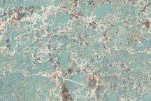 Gani Amazon Green 60x90