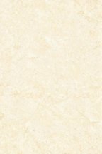 Gani Golden Beige 60x90