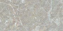 Gani Illinois Grey 60x120