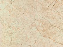 Gani Jurassic Beige 90x120