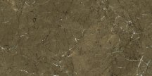 Gani Olive Brown 60x120