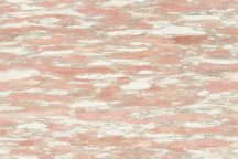 Gani Rosa Norvegia 60x90