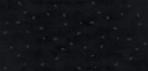Gigacer Concrete Signs Black Buds 6 mm 120x250