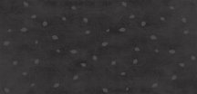 Gigacer Concrete Signs Graphite Buds 6 mm 120x250