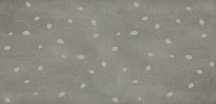 Gigacer Concrete Signs Grey Buds 6 mm 120x250