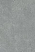 Graniti Fiandre Aster Maximum Mercury Honed 100x150