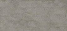 Graniti Fiandre Earthlike Grey 154x328