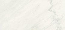 Graniti Fiandre Marble Lab Premium White Lucidato 60x120