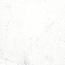 Graniti Fiandre Marmi Maximum Apuano Purissimo Honed 75x75