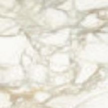 Graniti Fiandre Marmi Maximum Calacatta Dorato Honed 75x75