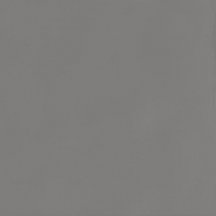 Graniti Fiandre Musa Plus Shadow Honed 60x60