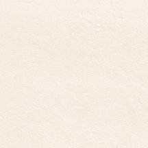 Graniti Fiandre New Ground White Honed 60x60