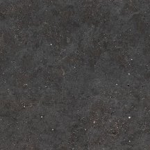 Graniti Fiandre Solida Black Honed 100x100