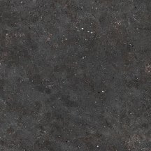 Graniti Fiandre Solida Black Prelucidato 100x100
