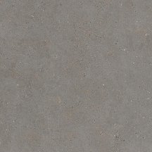 Graniti Fiandre Solida Grey Honed 100x100