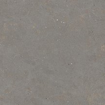 Graniti Fiandre Solida Grey Prelucidato 100x100